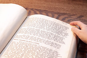 Photo of a person reading a book