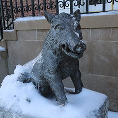 Photo of a boar statue in snow. Link to Gifts by Estate Note