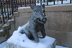 Photo of a boar statue in snow. Link to Gifts by Estate Note